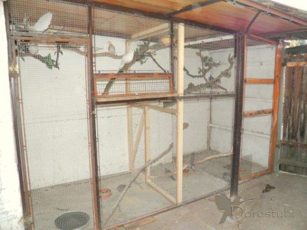 Puhl Dóra röpdéje Puhl Dóra röpdéje