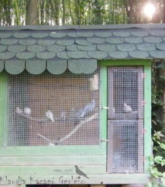 Klaudia kisebb madárház Klaudia kicsi madárház