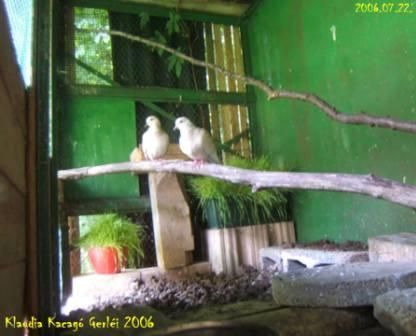 Röpde belülről Röpde belülről