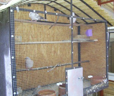 B. Gábor madárháza B. Gábor madárháza