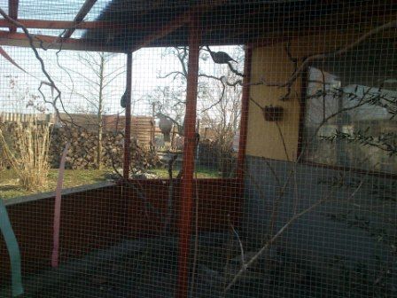 Gréti röpdéje Gréti röpdéje