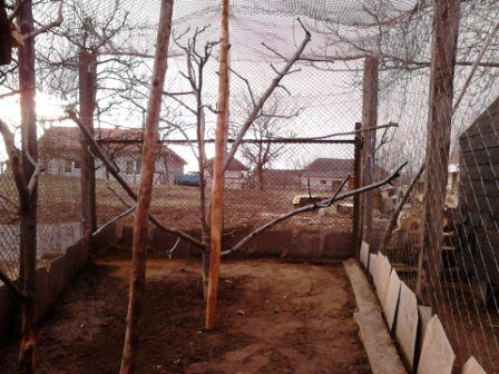 Verbinyecz Robi röpdéje Verbinyecz Robi röpdéje